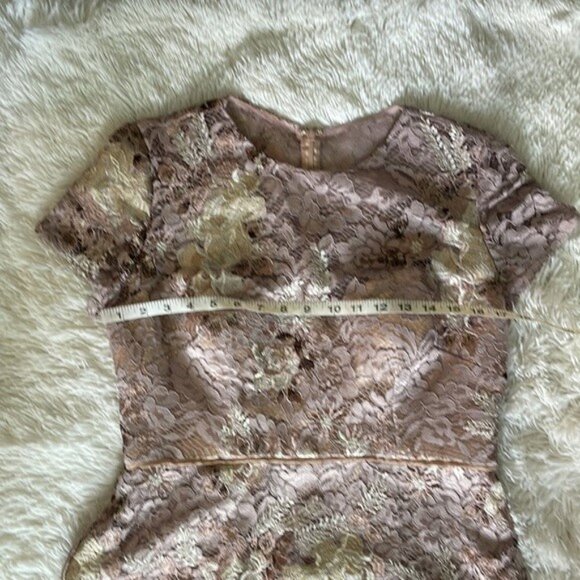 JS Collections Peplin Embroidered Lace Gown - Picture 5 of 13